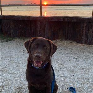 Meet your Posher, Patti